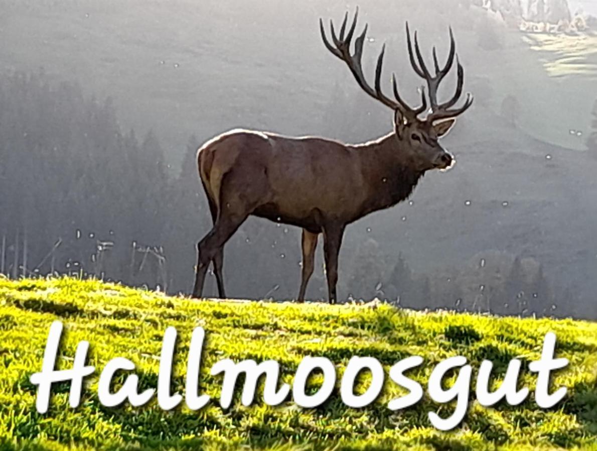 Hallmoosgut Санкт-Йохан Экстерьер фото